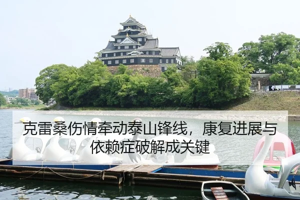 ke-lei-sang-shang-qing-qian-dong-tai-shan-feng-xian-kang-fu-jin-zhan-yu-yi-lai-zheng-po-jie-cheng-guan-jian-3-389.jpg